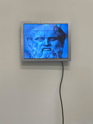 The Allegory is a video installation featuring the face of Plato that constantly morphs but keep coming back to its original state.