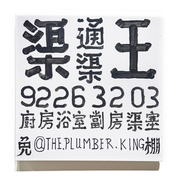 The Plumber King 5
